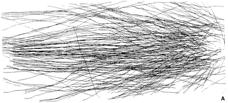 kfibre