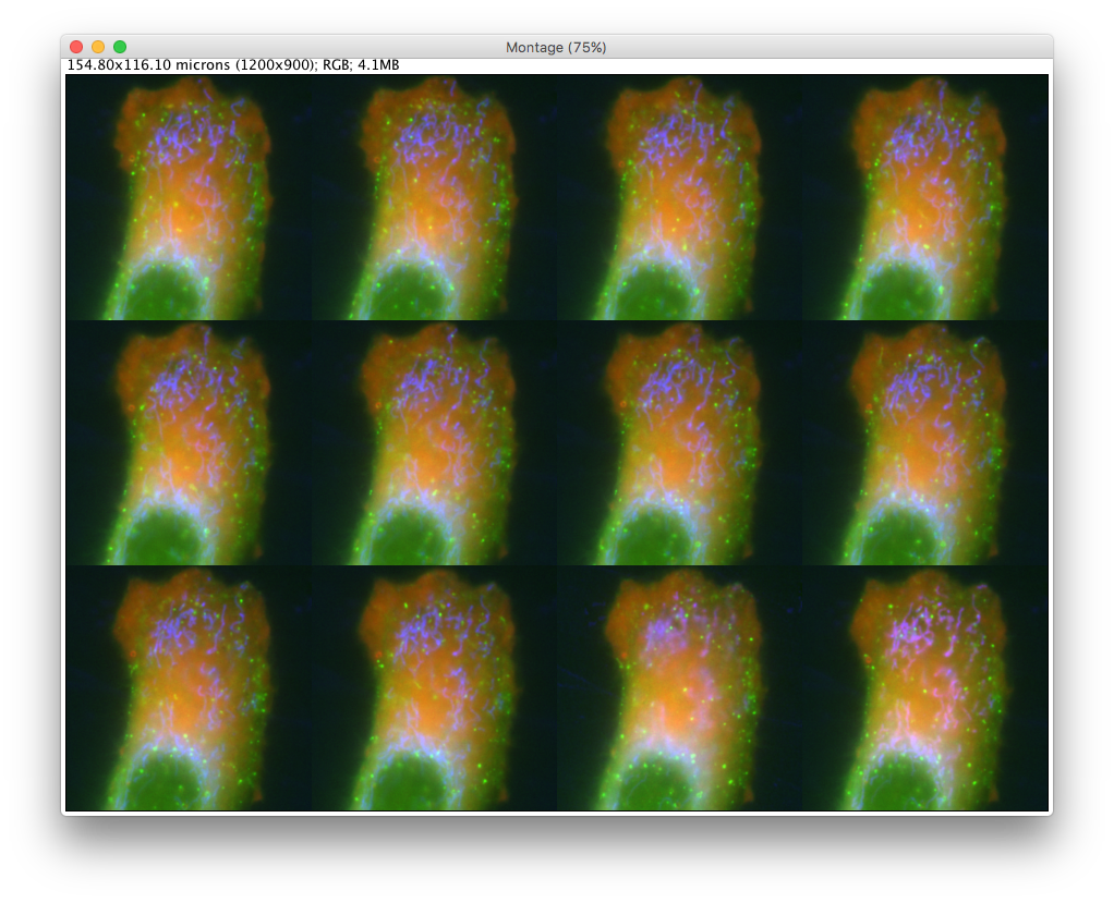Screen Shot 2016-07-06 at 14.21.53