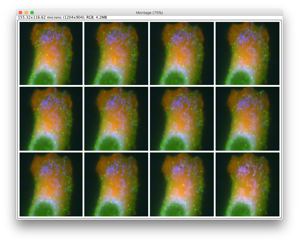 Screen Shot 2016-07-06 at 14.22.27
