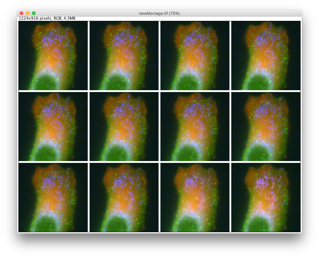 Screen Shot 2016-07-06 at 14.55.31